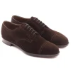 Derbys<Edward Green Cardiff Mink Suede