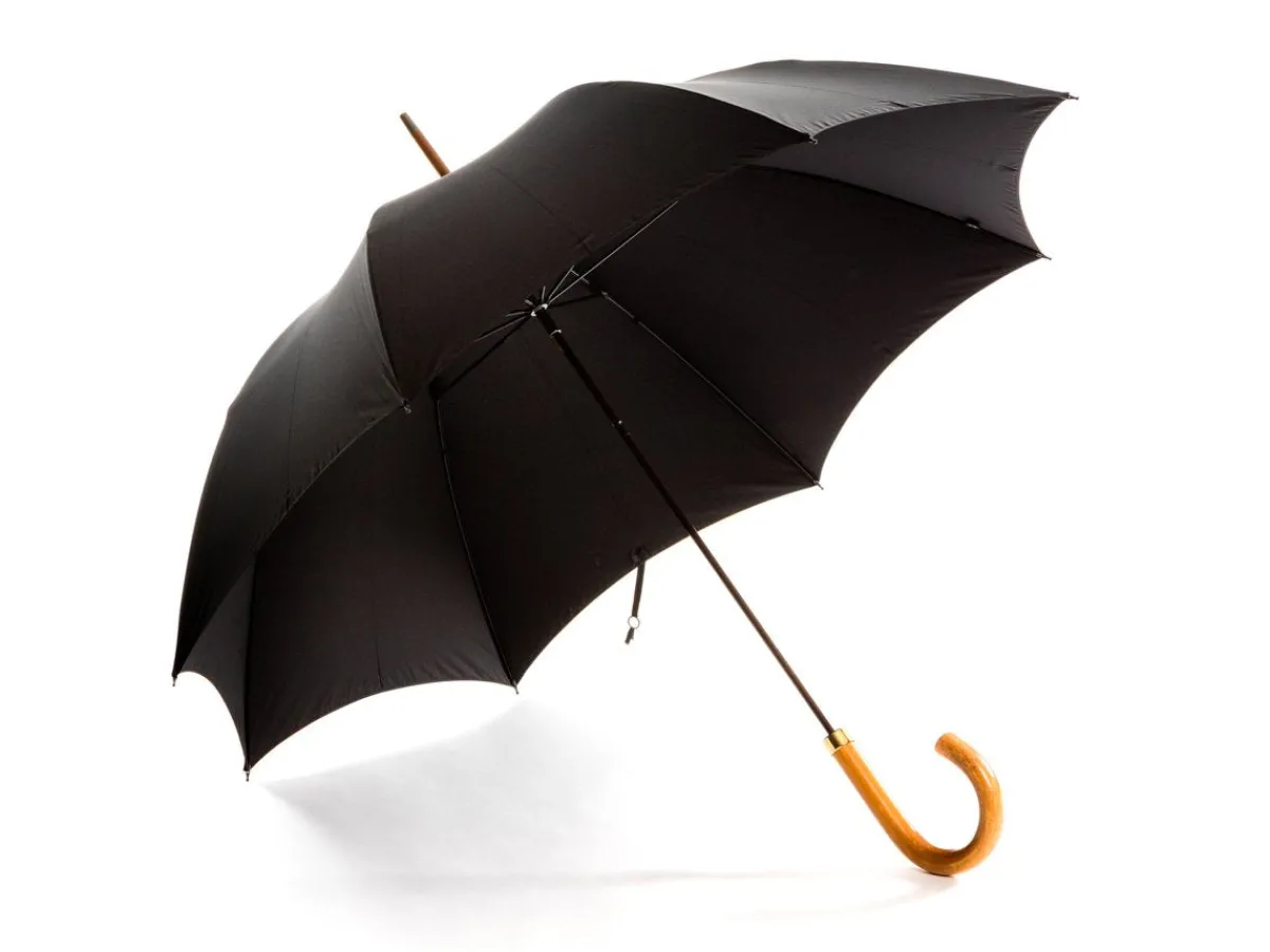 Umbrellas<Fox Umbrellas Foldable Tube Malacca Handle Black