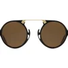 Sunglasses | Eyewear<American Optical Oxford Black Tortoise & Gold Brown Nylon Lens