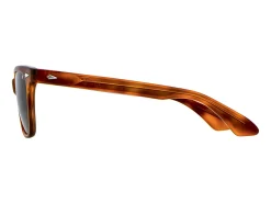 Sunglasses | Eyewear<American Optical Saratoga Havana Brown Nylon Lens Polarised