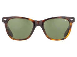 Sunglasses | Eyewear<American Optical Saratoga Tortoise Green Nylon Lens