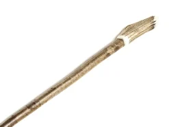 Walking Sticks<Abbeyhorn Shoulder Height Hazel Stick with Stag Handle
