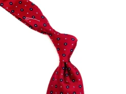 Ties<Double Monk Silk Tie Jacquard Flower Red