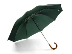 Umbrellas<Fox Umbrellas Telescopic Malacca Handle Dark Green