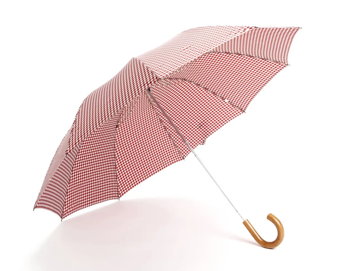Umbrellas<Fox Umbrellas Telescopic Malacca Handle Wine & White Gingham