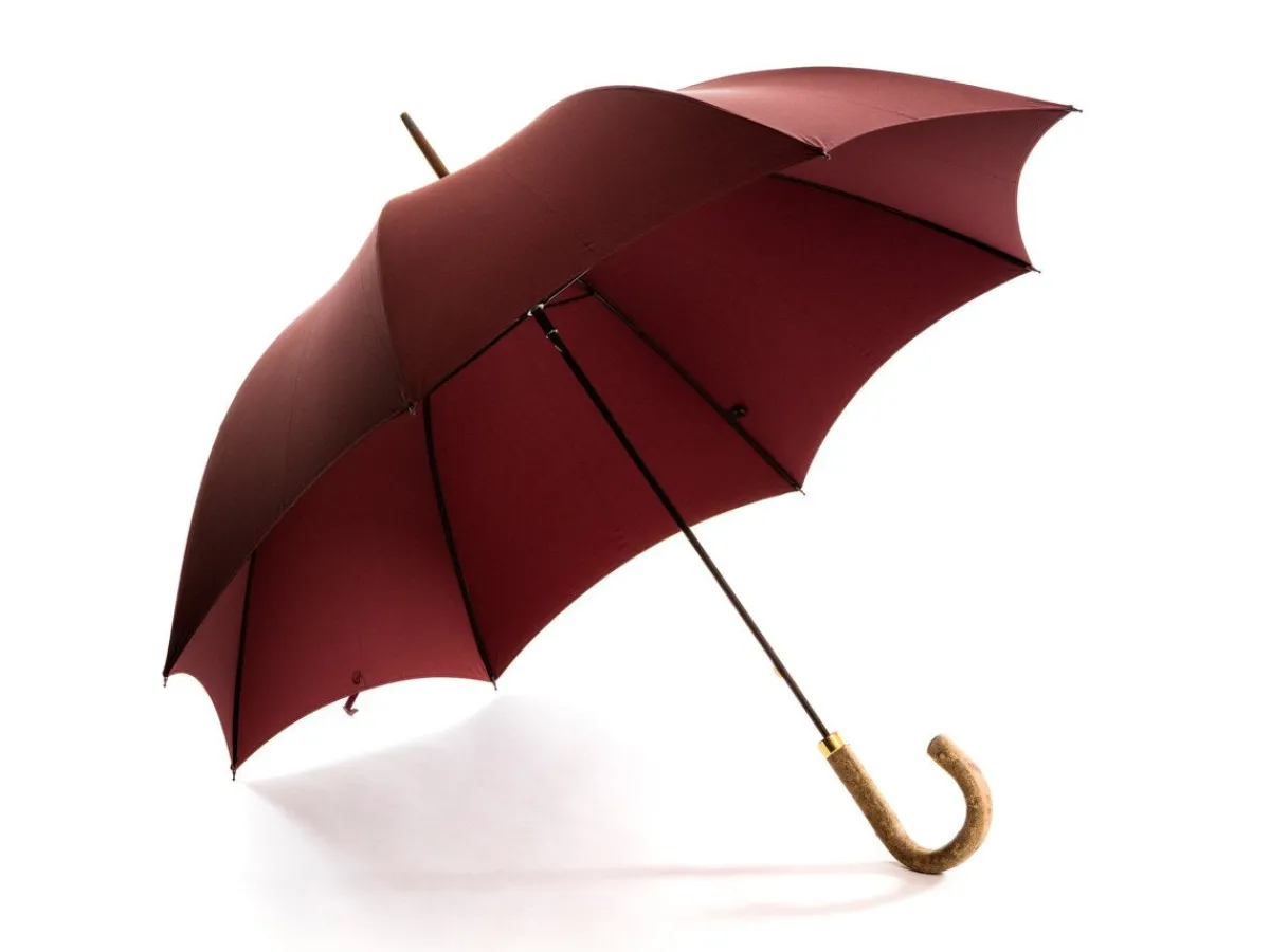 Umbrellas<Fox Umbrellas Tube Ash Handle Bordeaux