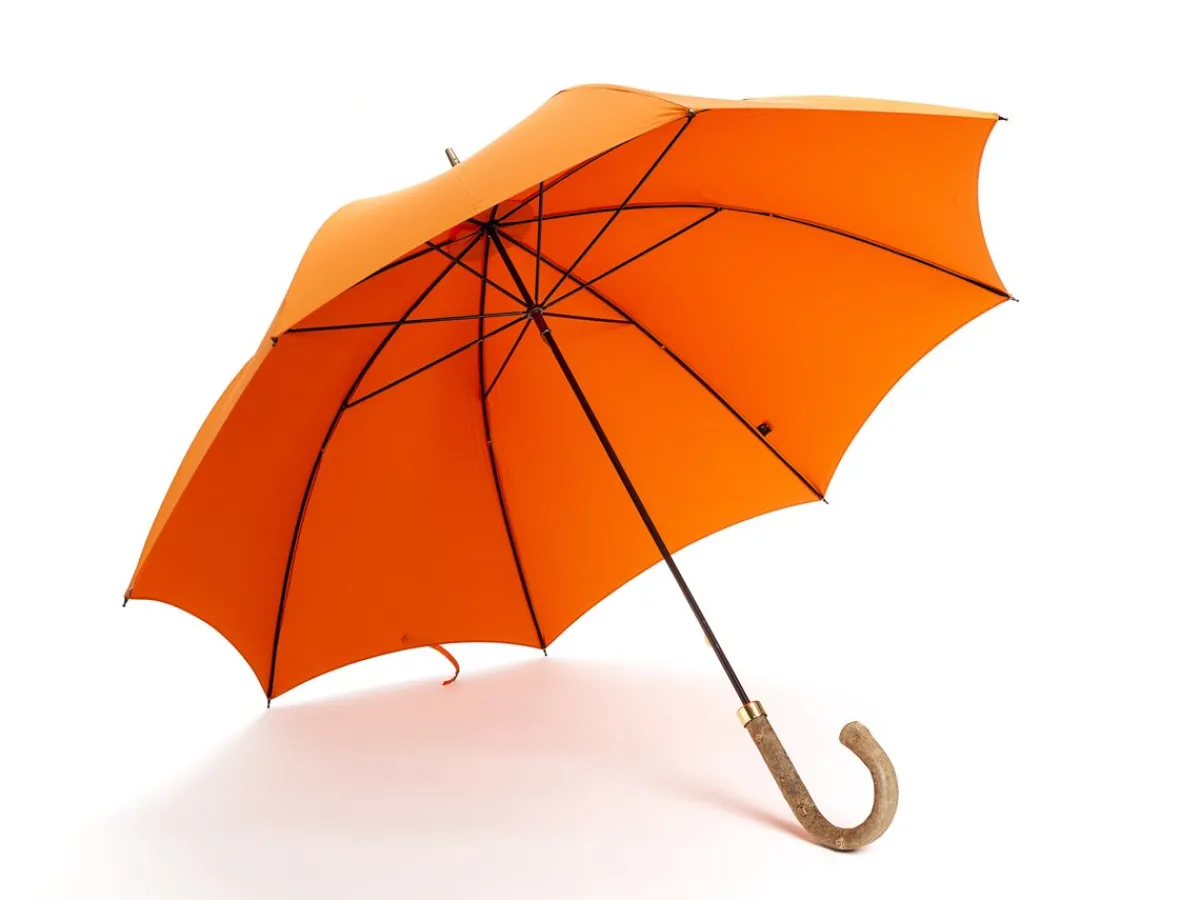 Umbrellas<Fox Umbrellas Tube Ash Handle Orange
