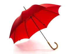 Umbrellas<Fox Umbrellas Tube Ash Handle Red