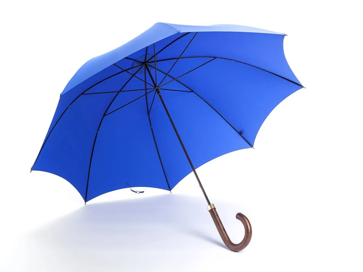 Umbrellas<Fox Umbrellas Tube Dark Brown Handle Royal Blue