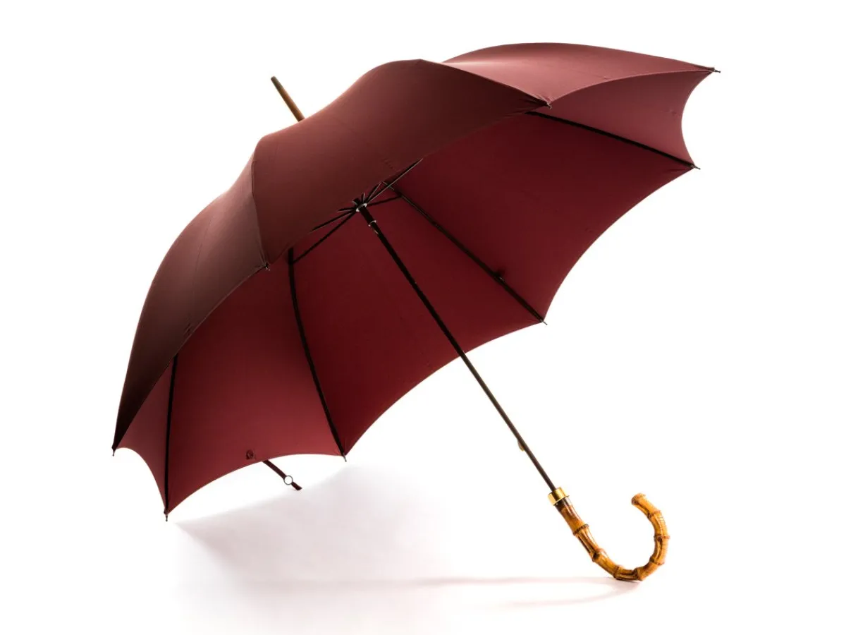 Umbrellas<Fox Umbrellas Tube Whangee Handle Bordeaux